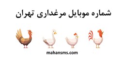 تصویر  شماره موبایل مرغداری تهران